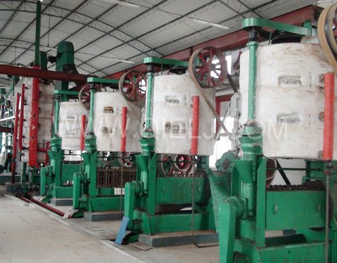 10T/D-800T/D高含油料預(yù)榨成套設(shè)備(圖2) 10T/D-800T/D高含油料預(yù)榨成套設(shè)備(圖2)
